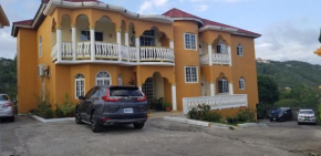 Wizzy Apartment Montego Bay